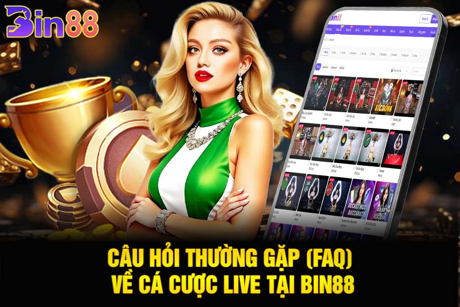 Câu Hỏi Thường Gặp (FAQ)